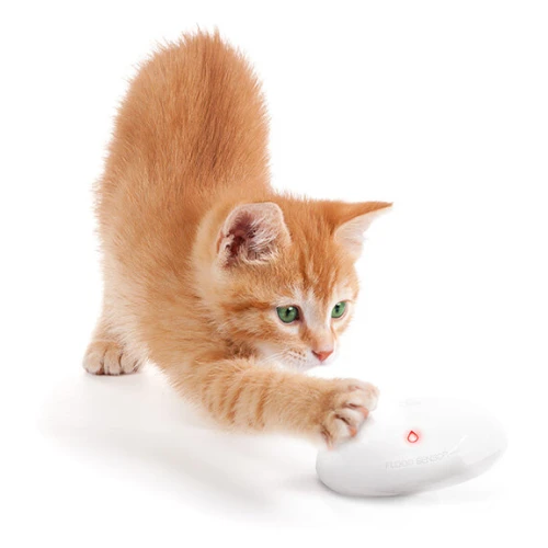 Czujnik zalania wodą Fibaro to kompaktowe, białe urządzenie o opływowym kształcie, wyposażone w czerwony wskaźnik LED. Produkt jest przedstawiony obok ciekawskiego kota, co podkreśla jego niewielkie rozmiary i nowoczesny design.