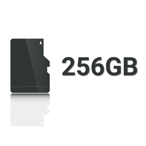 Ilustracja przedstawia ikonę karty pamięci obok napisu "256GB" na białym tle. Obrazek ma minimalistyczny styl z odbiciem na dole.