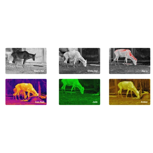 Zdjęcie przedstawia sześć obrazów termowizyjnych zwierzęcia, każdy w innym trybie kolorystycznym: Black Hot, White Hot, Alarm, Iron Red, Jade i Amber. Każdy obrazek pokazuje różne sposoby wizualizacji ciepła emitowanego przez zwierzę.
